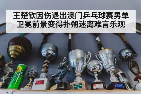 王楚钦因伤退出澳门乒乓球赛男单卫冕前景变得扑朔迷离难言乐观