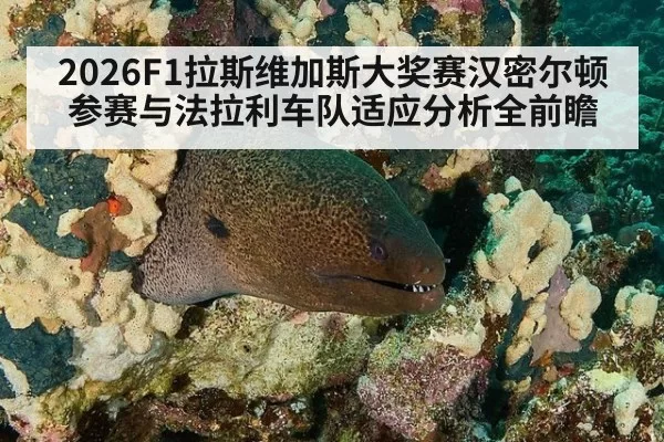 2026F1拉斯维加斯大奖赛汉密尔顿参赛与法拉利车队适应分析全前瞻